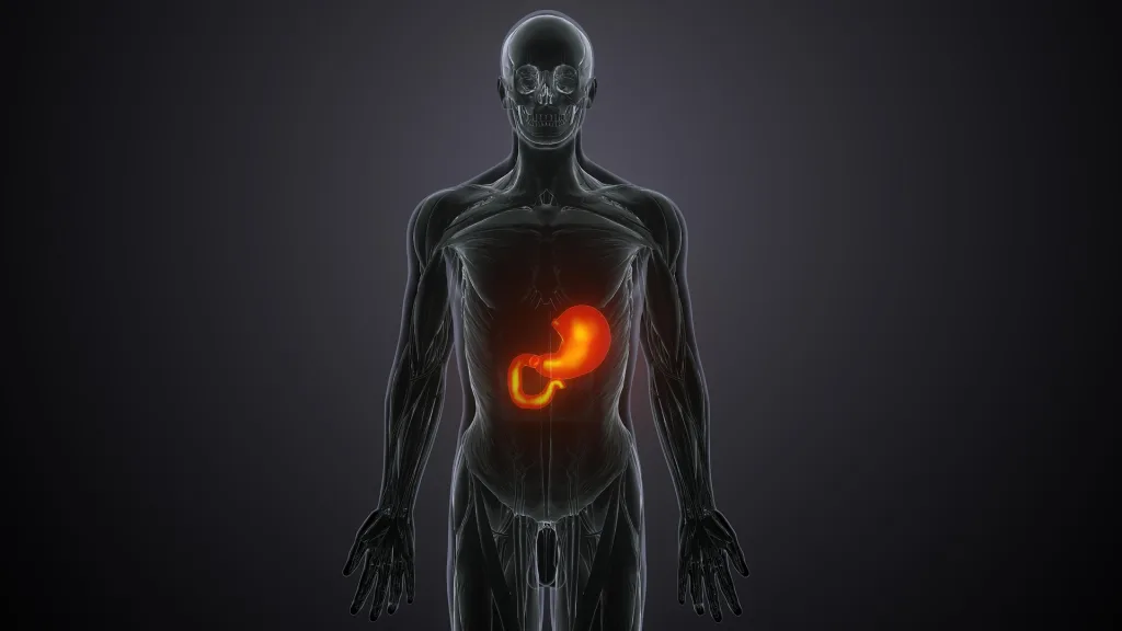 boost your metabolism