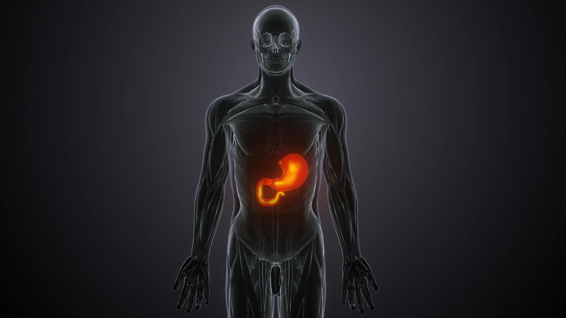 Ways to Boost Your Metabolism Naturally: Simple Lifestyle Habits That Actually Work